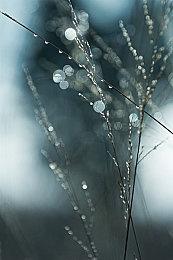 《原神》角色修复引玩家众怒 官方道歉：回退 补偿十连